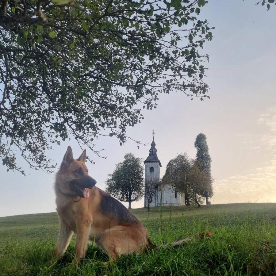 Apartmaji Pr Smolet Škofja Loka Dış mekan fotoğraf
