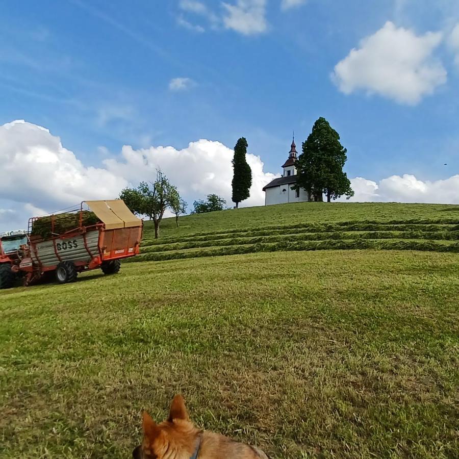 Apartmaji Pr Smolet Škofja Loka Dış mekan fotoğraf